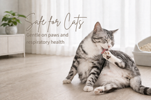 Cat sitting on a wooden floor with text about product safety for cats